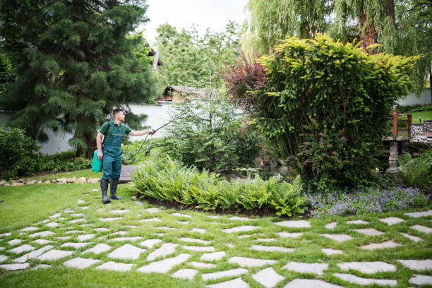 Best Best Pest Control Companies  in Nipomo, CA