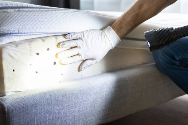 Best Commercial Pest Control Services  in Nipomo, CA