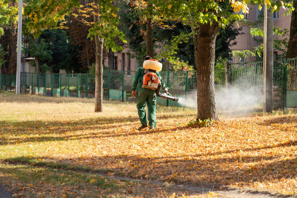 Best Local Pest Control Services  in Nipomo, CA