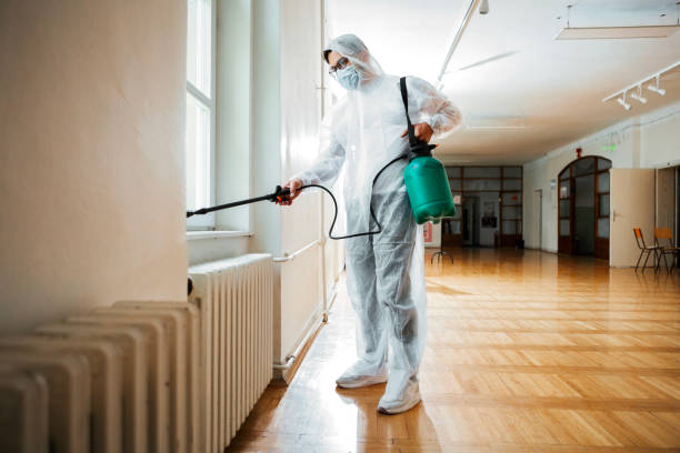 Reliable Nipomo, CA Pest Control Solutions