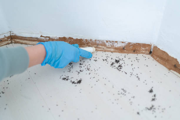 Best Wildlife Control Services  in Nipomo, CA