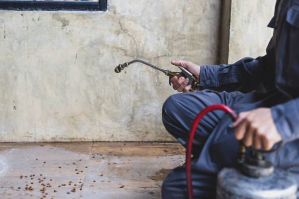Best Affordable Pest Control Services  in Nipomo, CA